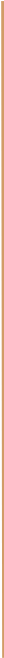 dividing line